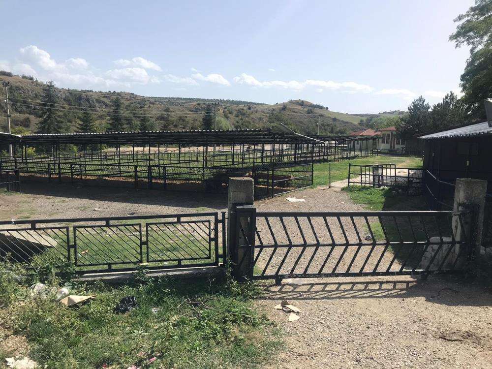 16 köyde şap ve şarbon hastalığı karantinası