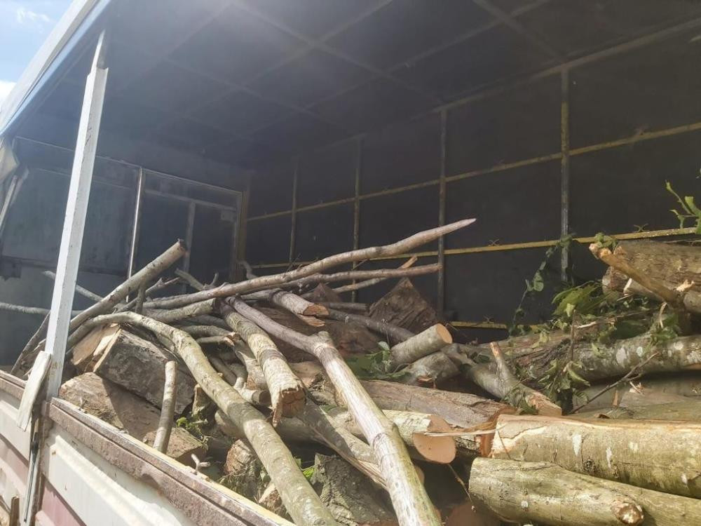 Durdurulan kamyondan 3 ton kaçak orman ürünü çıktı