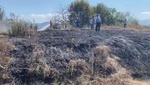 Ereğli ilçesinde fındık bahçesi yandı