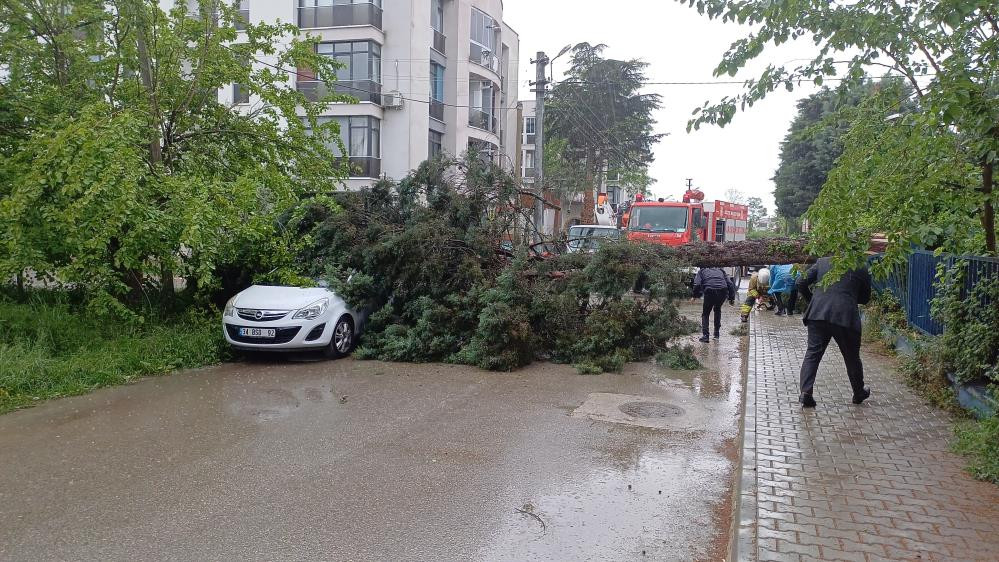  Fırtına ağaçları devirdi, 2 araç ağaçların altında kaldı
