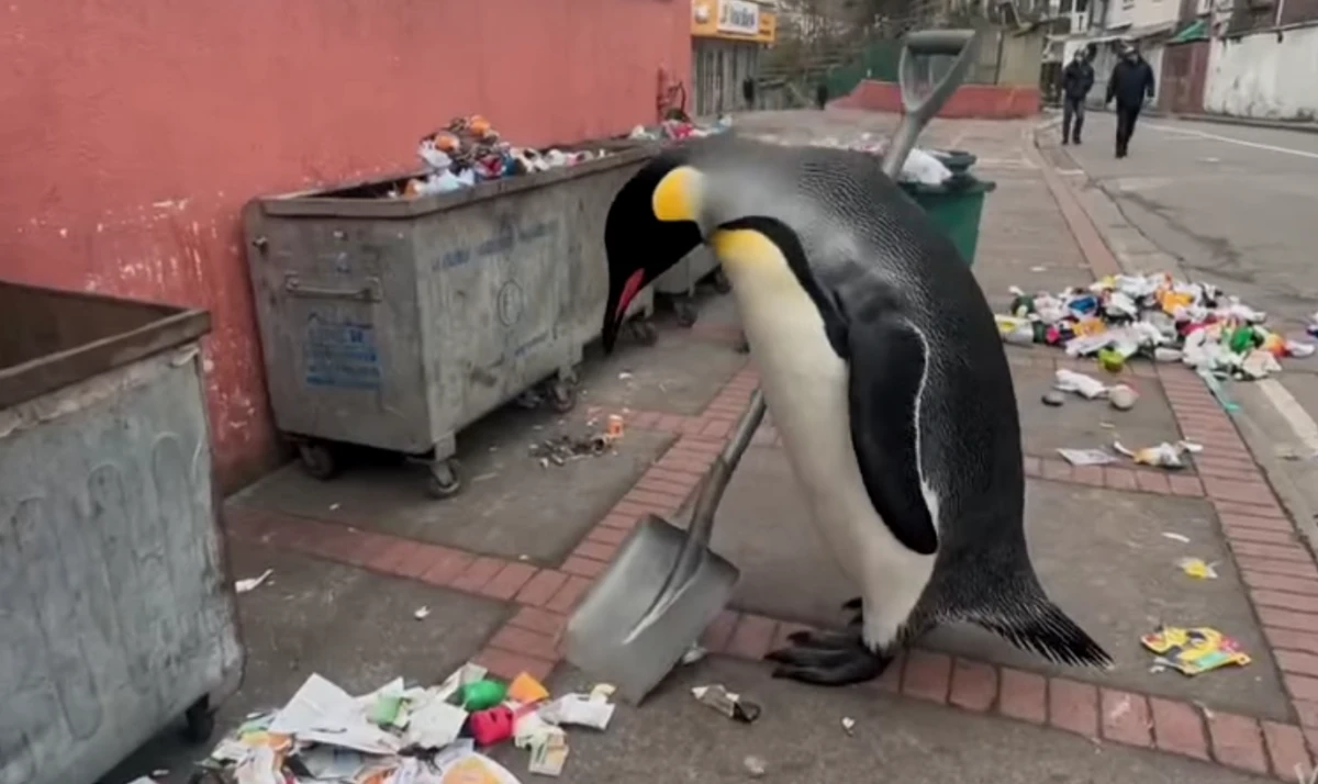 Mustafa &Ccedil;ağlayan'dan Nihilist Penguen g&ouml;ndermesi