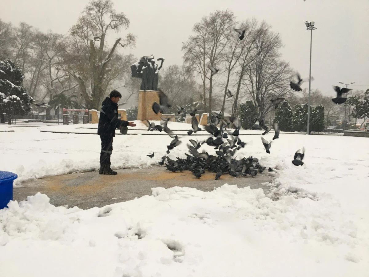 Sokaktaki canlar unutulmadı