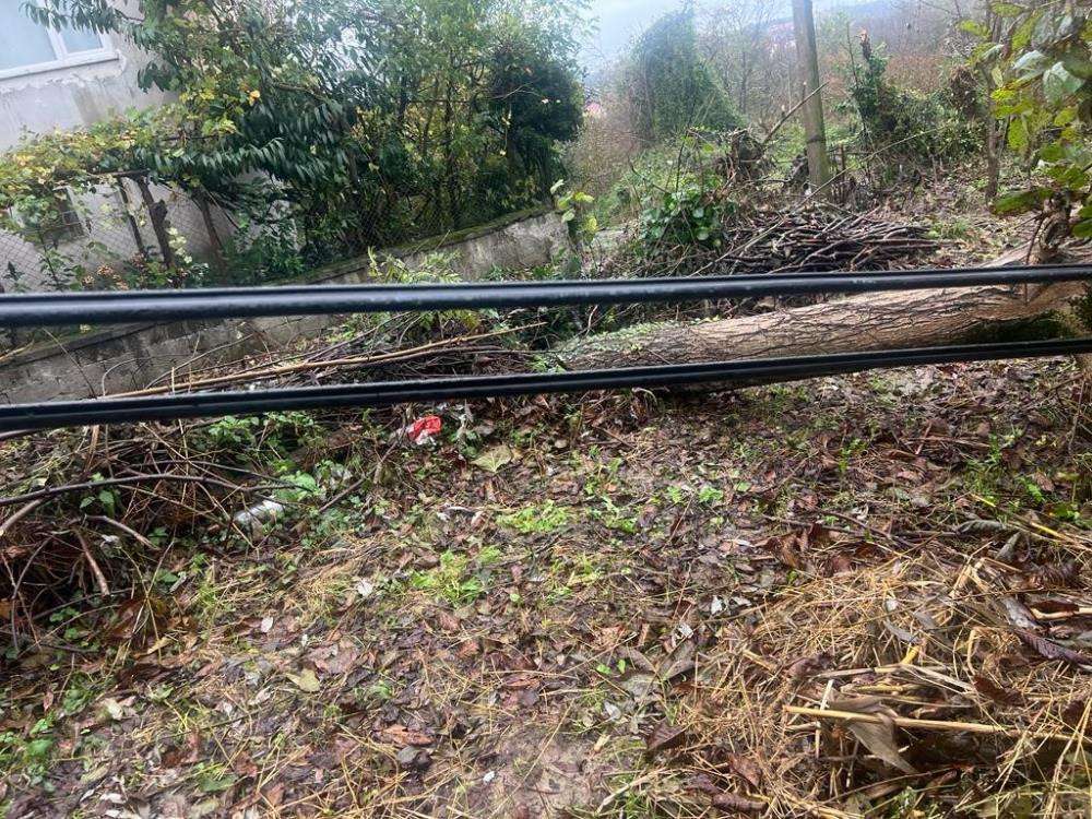 Telefon direkleri tehlike saçıyor