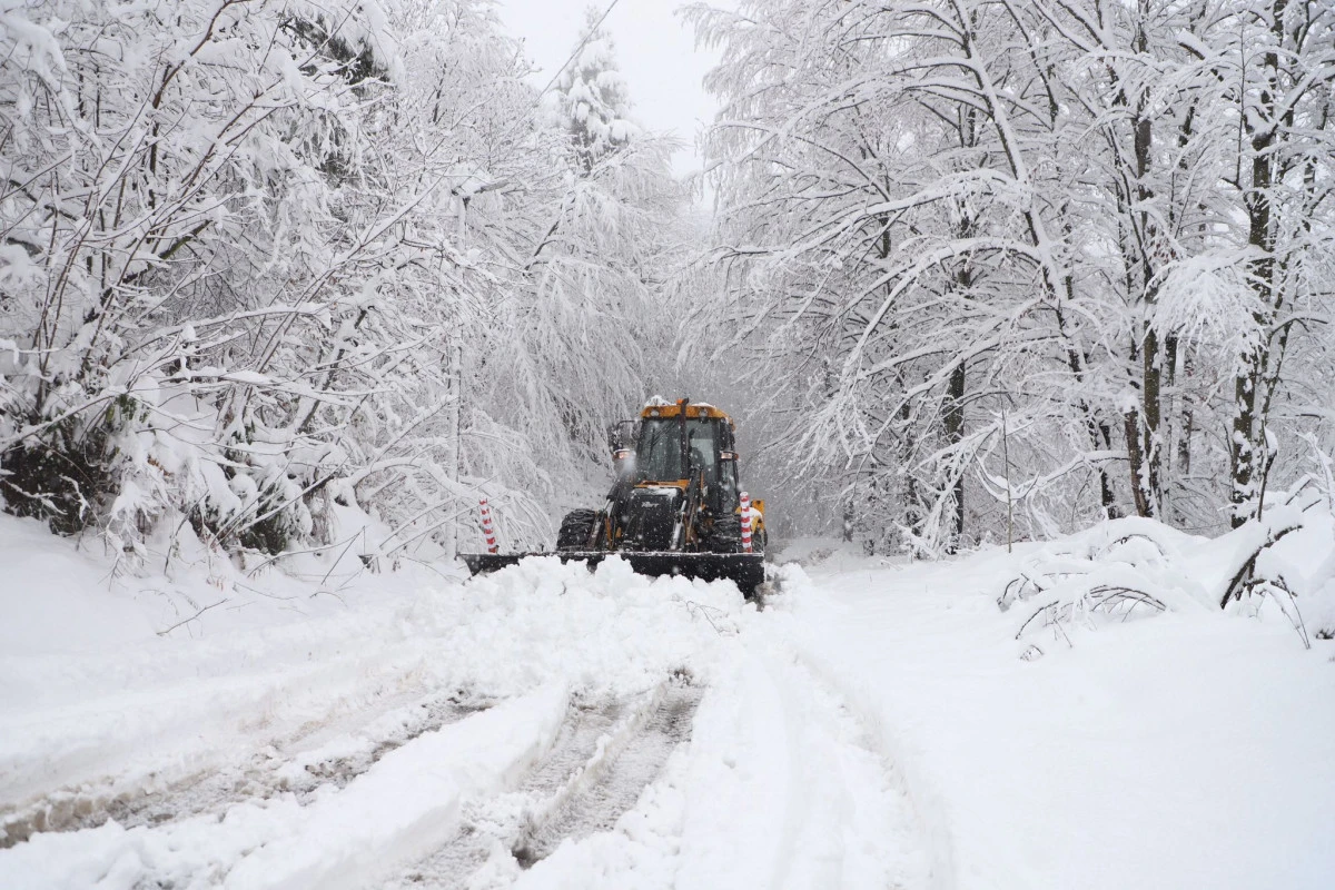 Zonguldak Belediyesi karla m&uuml;cadele ekipleri sahada